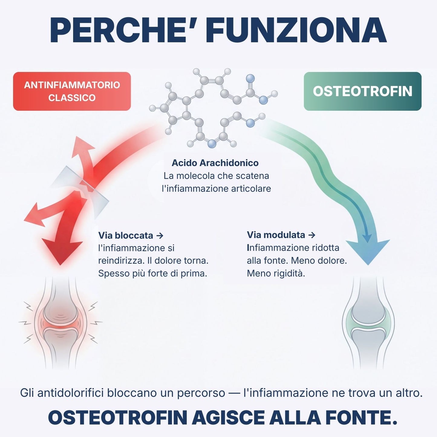 OsteoTrofin® – Spegne l'Infiammazione che gli Antidolorifici Non Riescono a Toccare
