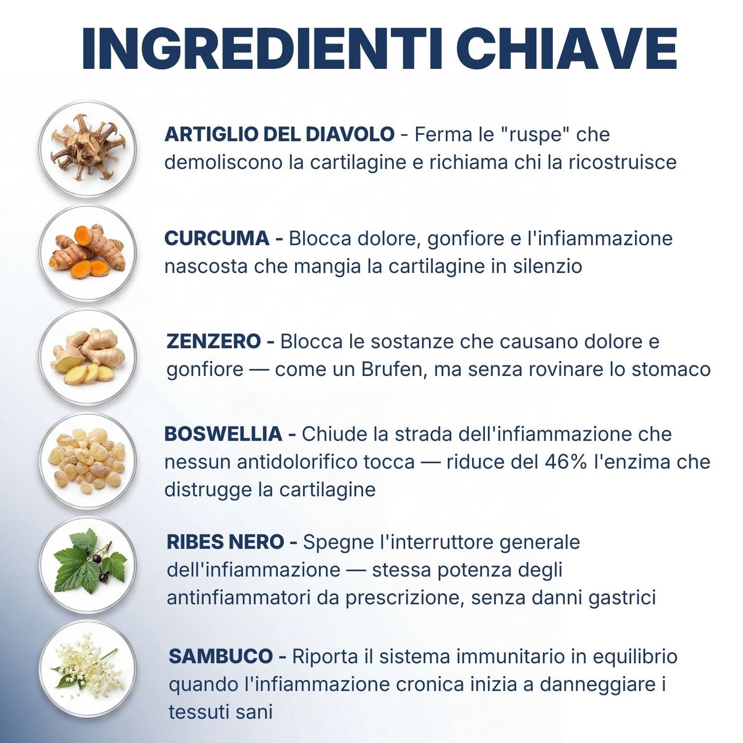 OsteoTrofin® – Spegne l'Infiammazione che gli Antidolorifici Non Riescono a Toccare