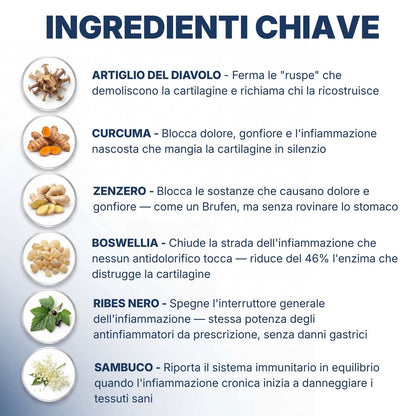 OsteoTrofin® – Spegne l'Infiammazione che gli Antidolorifici Non Riescono a Toccare