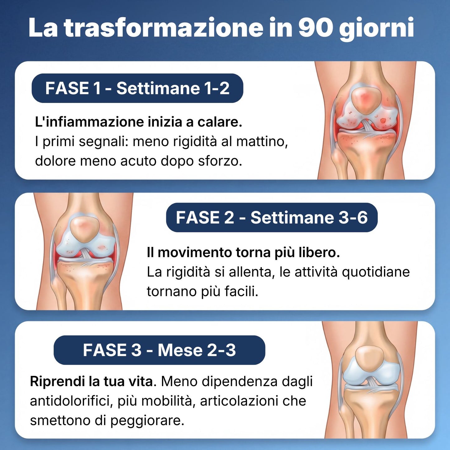 OsteoTrofin® – La Formula Nata nello Studio del Dott. Gubinelli — Adesso in una Capsula che Spegne la Vera Causa del Dolore Articolare