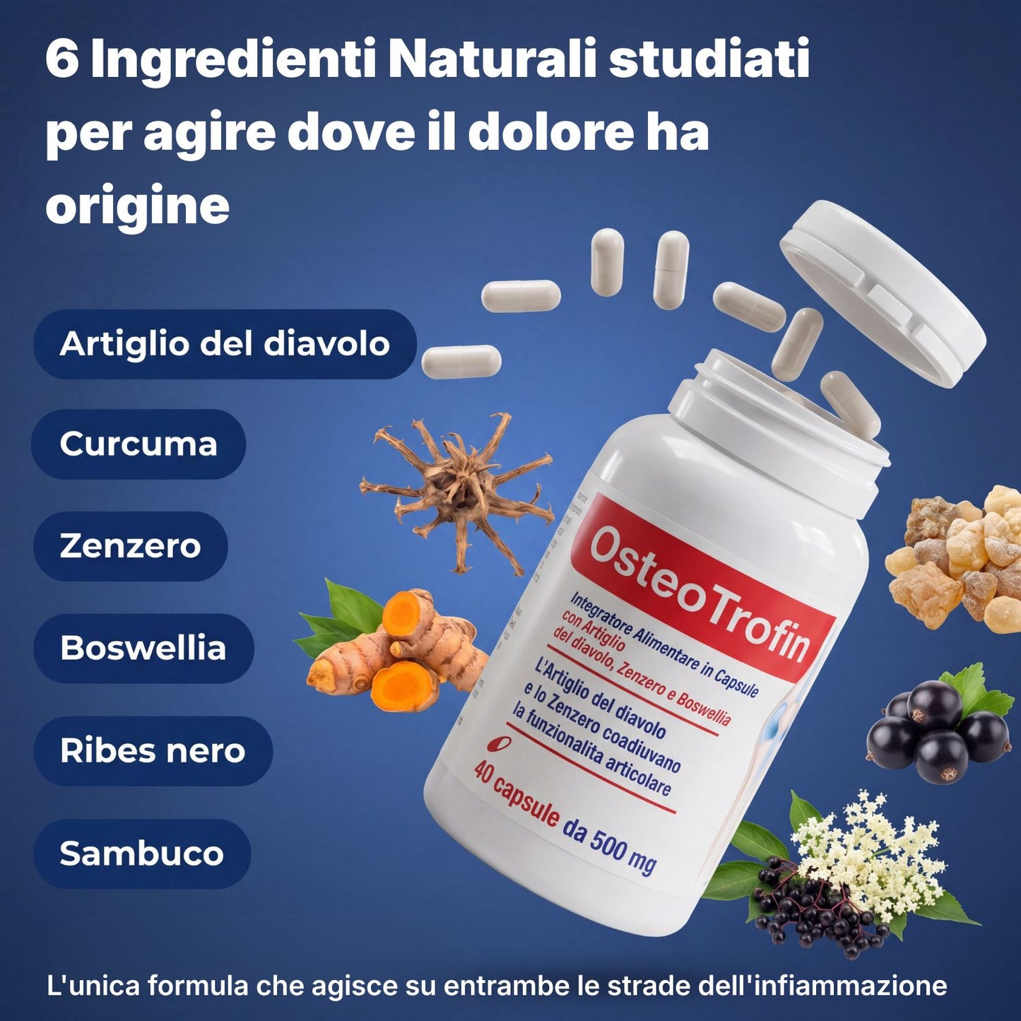 OsteoTrofin® – La Formula Nata nello Studio del Dott. Gubinelli — Adesso in una Capsula che Spegne la Vera Causa del Dolore Articolare